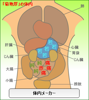 画像: 体内メーカー